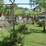 Trakia 2* Złote Piaski